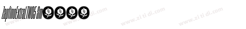 ZapfinoExtraLTW05 Sm字体转换